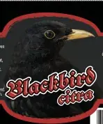 Schwarz Blackbird